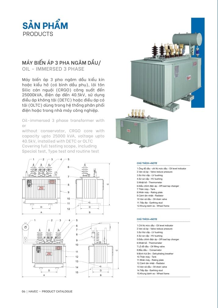 Oil-Immersed Three-Phase Transformer