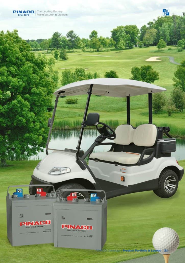 Golf Cart Battery