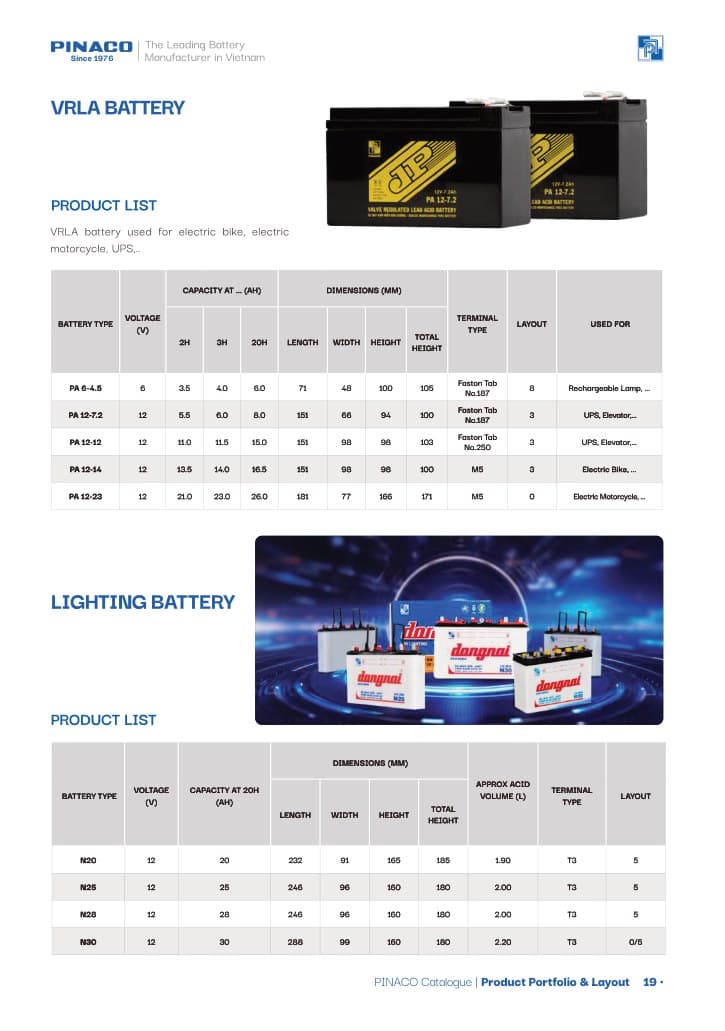 VRLA & Lighting Battery